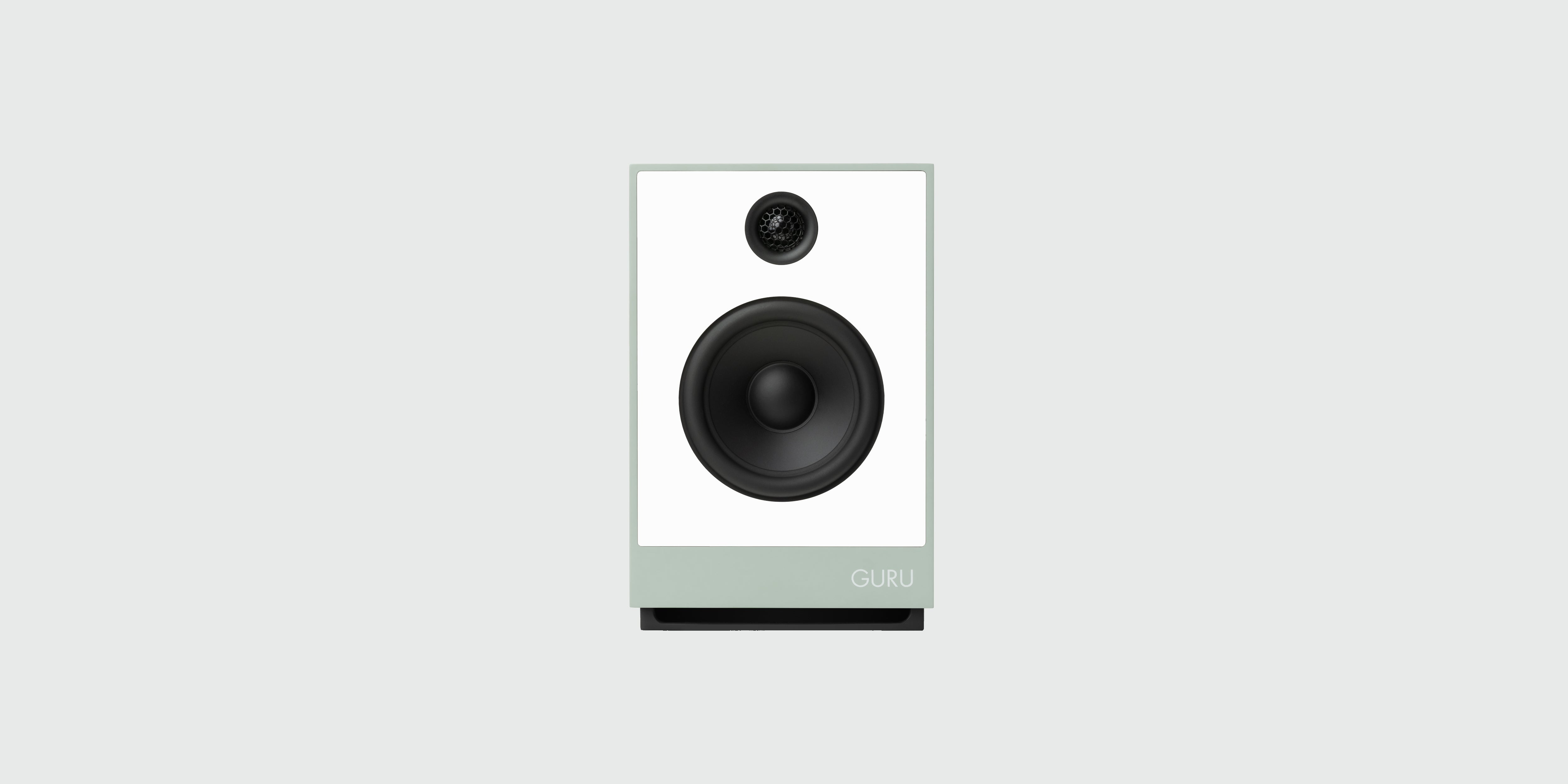 Guru 8 Speaker in fog colour