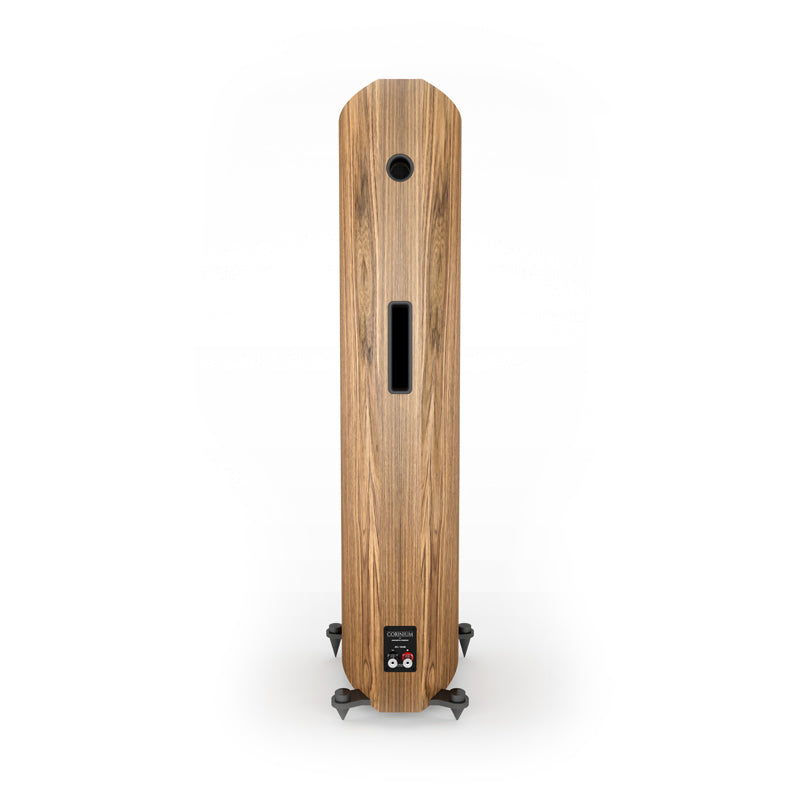 Acoustic Energy Corinium Floor Standing Speaker