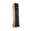 Acoustic Energy Corinium Floor Standing Speaker