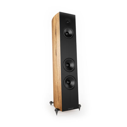 Acoustic Energy Corinium Floor Standing Speaker