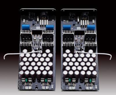 Soulnote D-3 dual-monaural analog section