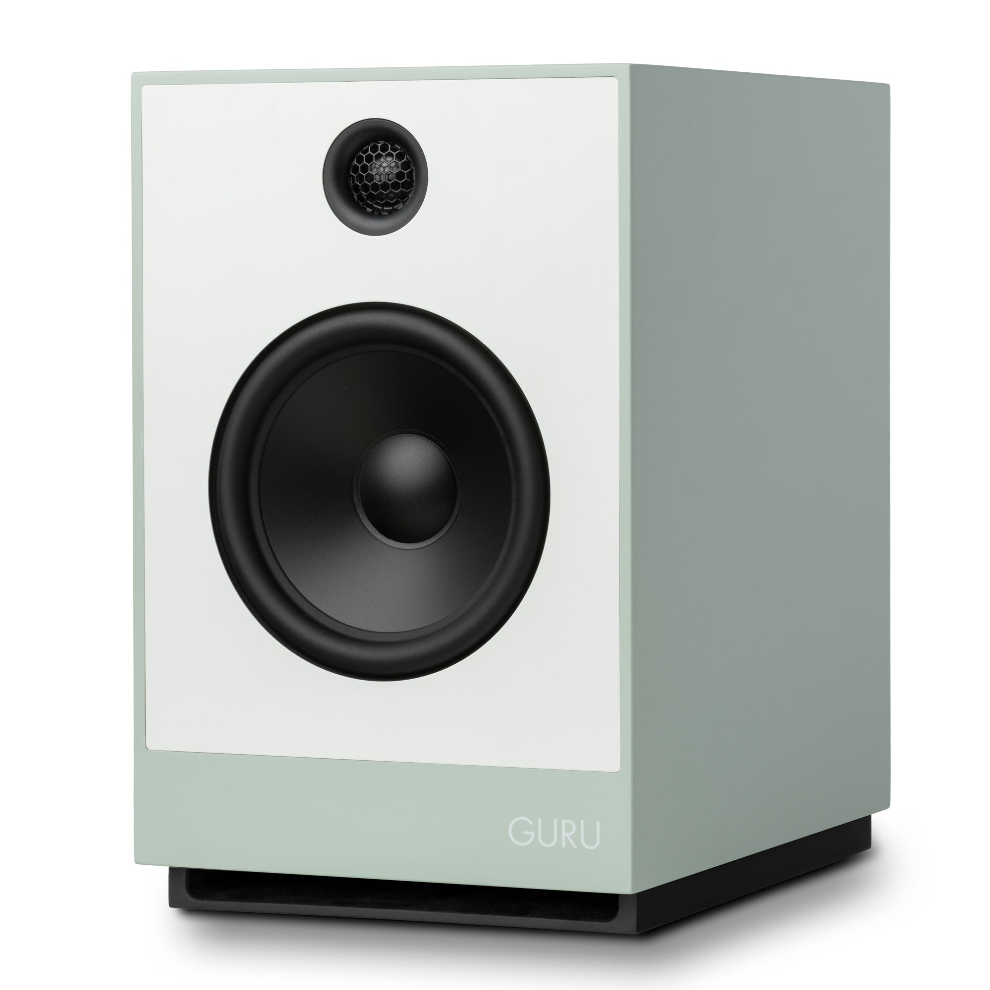 Guru 12 in fog colour
