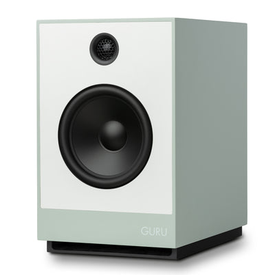 Guru 12 in fog colour