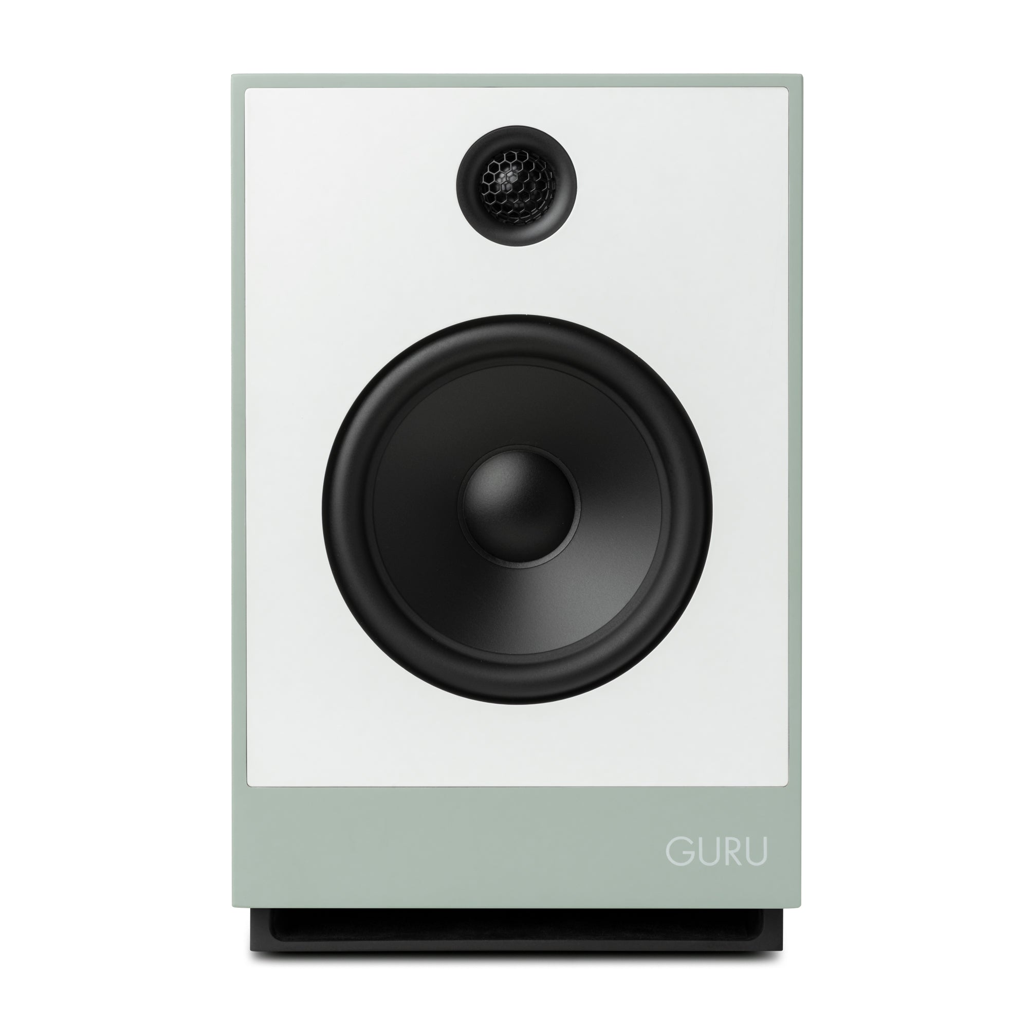 Guru 12 in fog colour