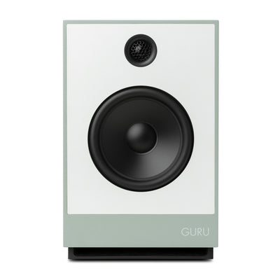 Guru 12 in fog colour