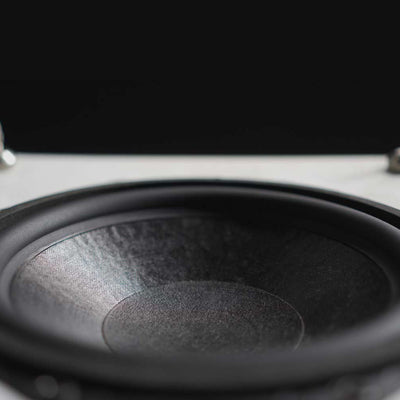 Ophidian FFION bottom woofer.