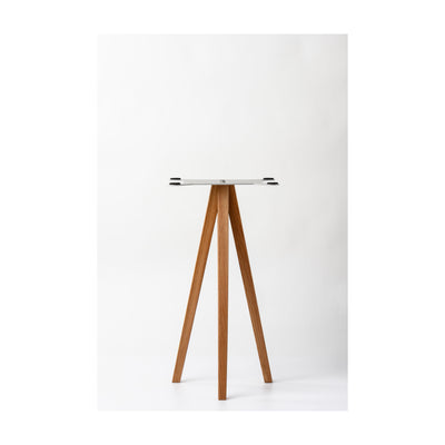 Guru Q10 Standpoint speaker stand in solid oak