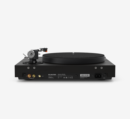 Unitra Fryderyk back panel in black ash with black trim on a white background